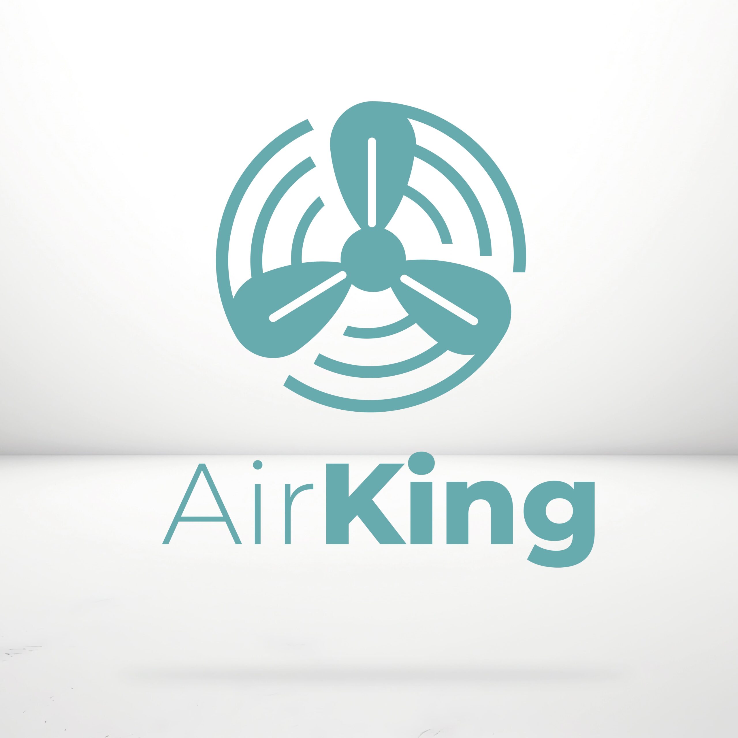 Portfolio Logo Design Bolspot-04